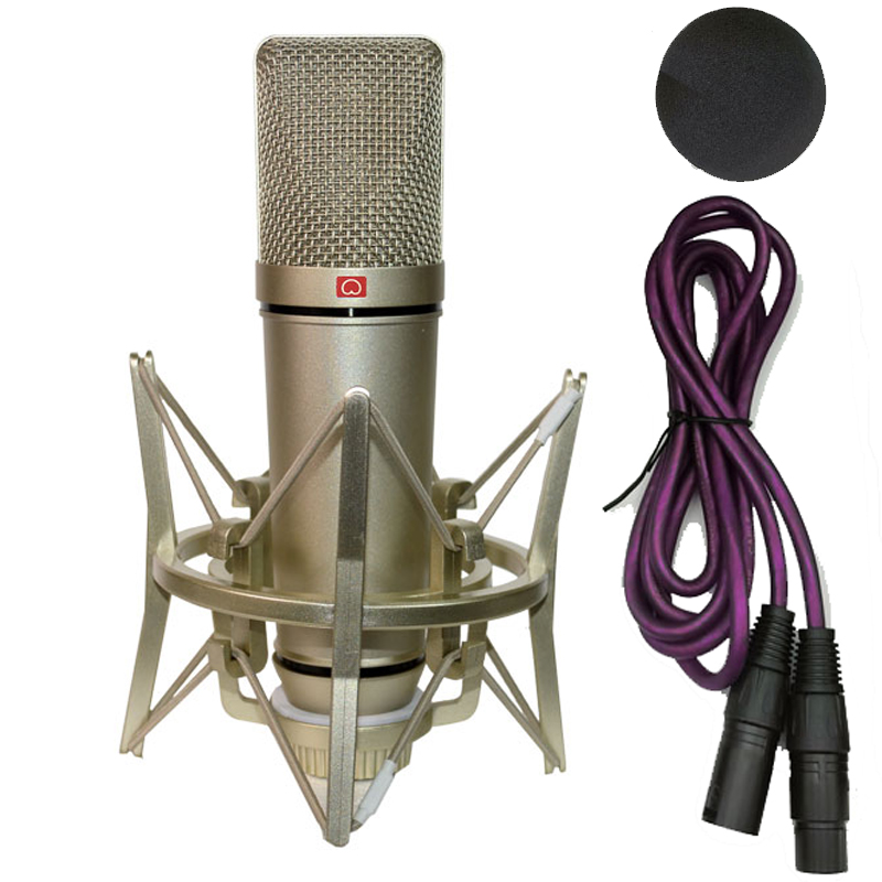 Professional Condenser Microph - Shure Mic Sm58 评论和价格